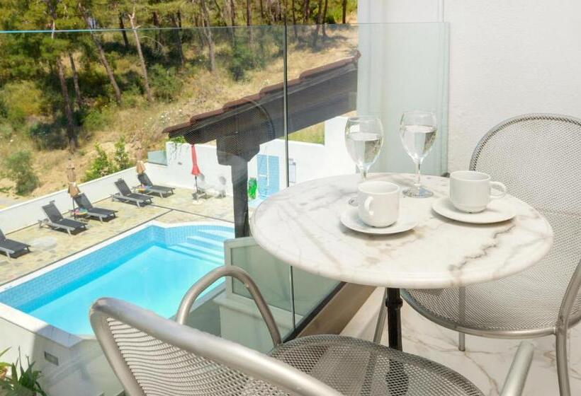 غرفة قياسية, Leandros