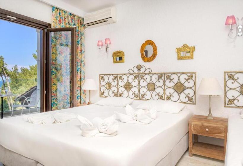 غرفة قياسية ثلاثية, Leandros