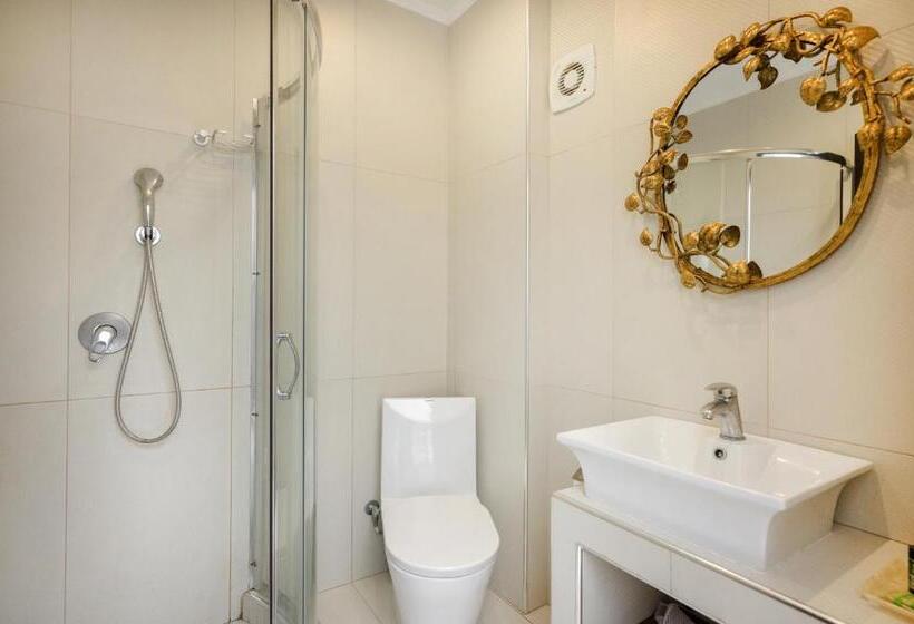 غرفة قياسية ثلاثية, Leandros