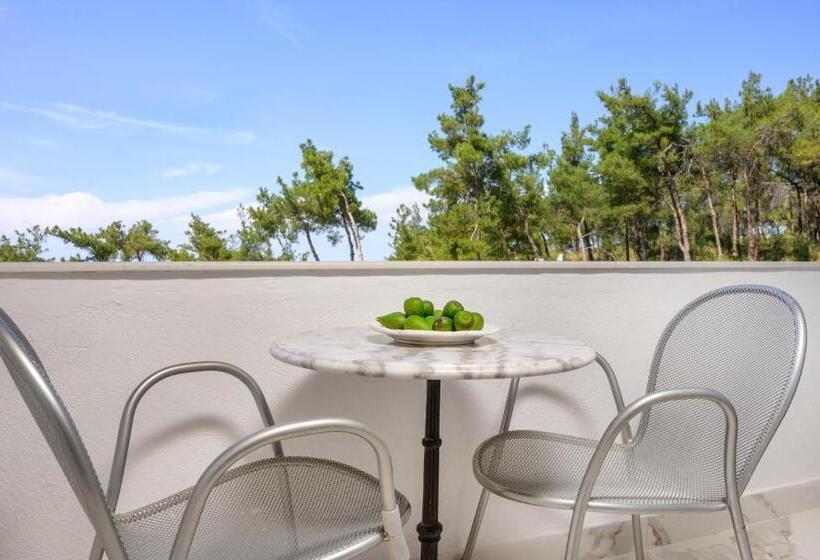 غرفة سوبيريور رباعية, Leandros