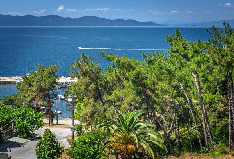 غرفة قياسية مطلّة علي البحر, Leandros