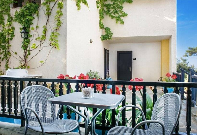 غرفة قياسية, Leandros