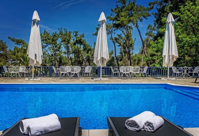 غرفة سوبيريور رباعية, Leandros