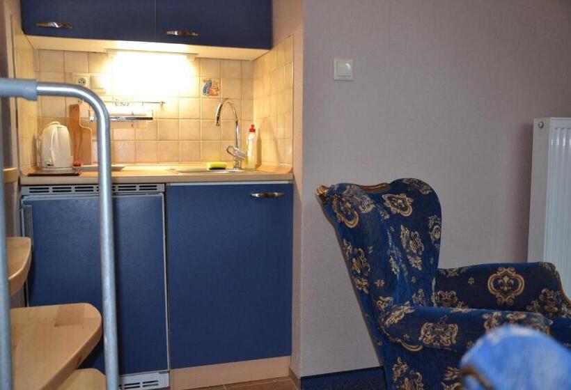 חדר סטנדרט לארבעה, Penzion Aurooms