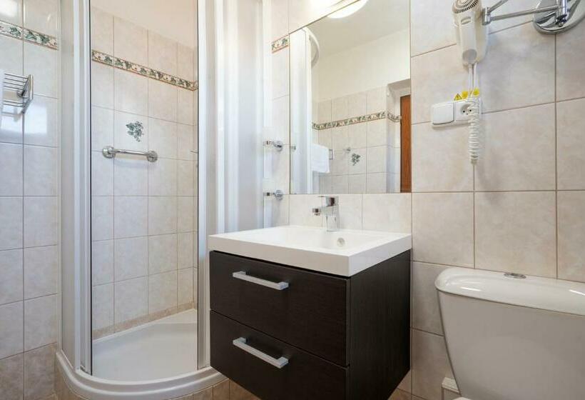 스탠다드 발코니 룸, Penzion Balcony