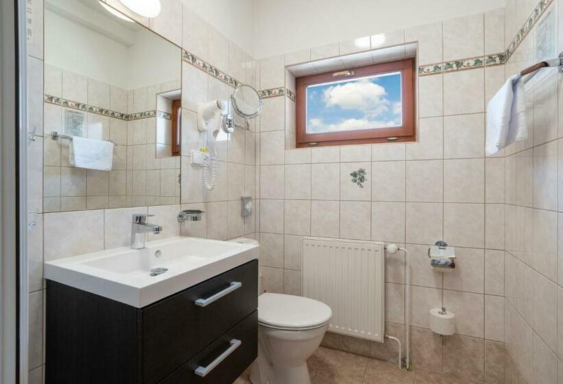 스탠다드 발코니 룸, Penzion Balcony