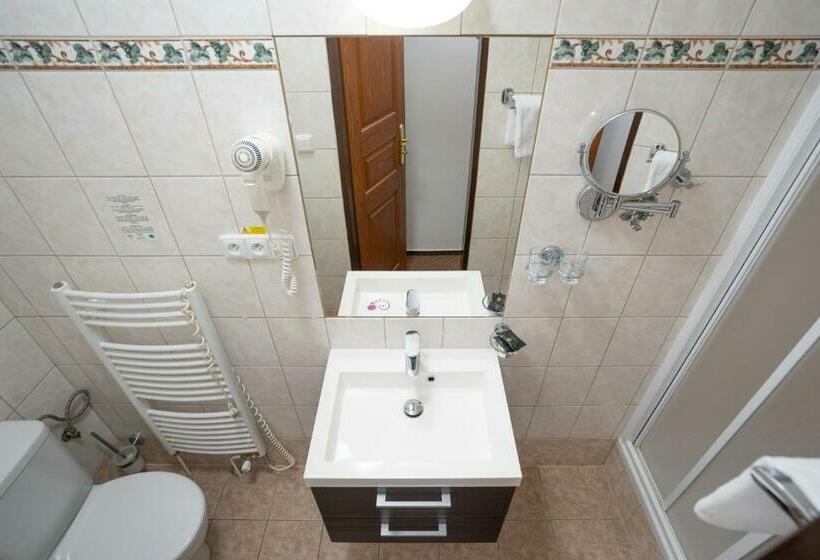 חדר סטנדרט עם מרפסת, Penzion Balcony