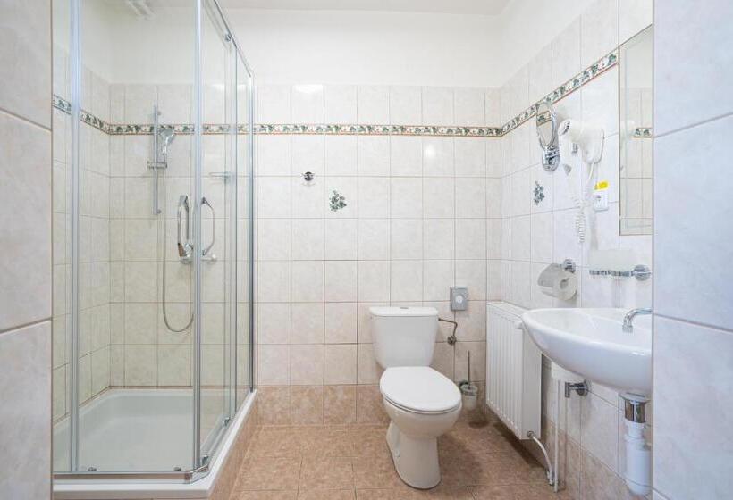 스탠다드 룸 1층, Penzion Balcony