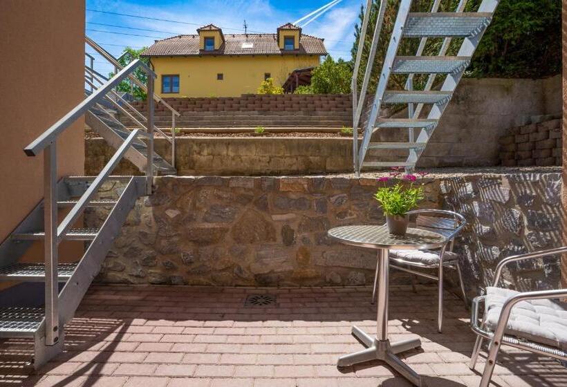 스탠다드 룸 1층, Penzion Balcony