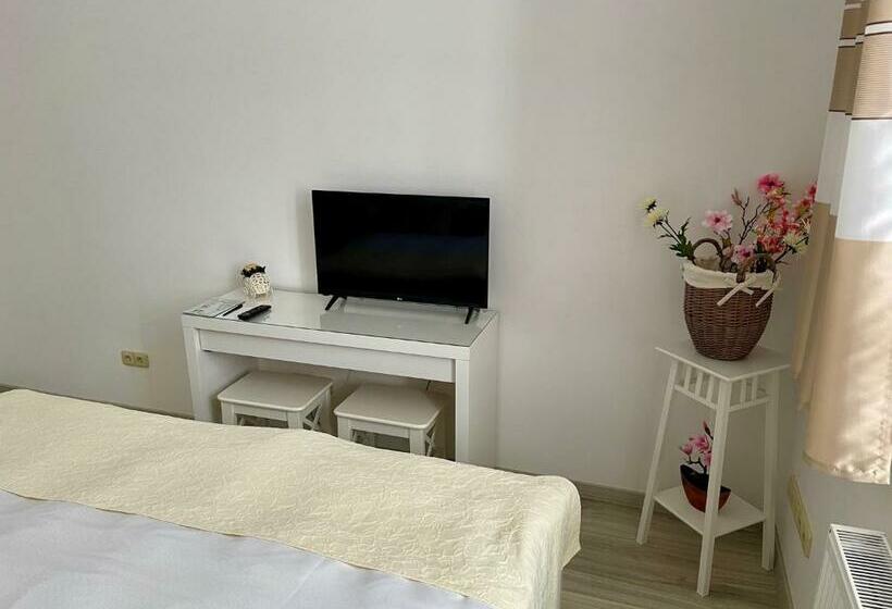 חדר סטנדרט, Penzion U Vlčků