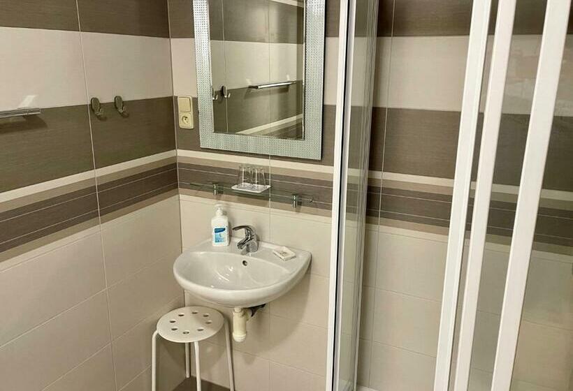 חדר סטנדרט, Penzion U Vlčků