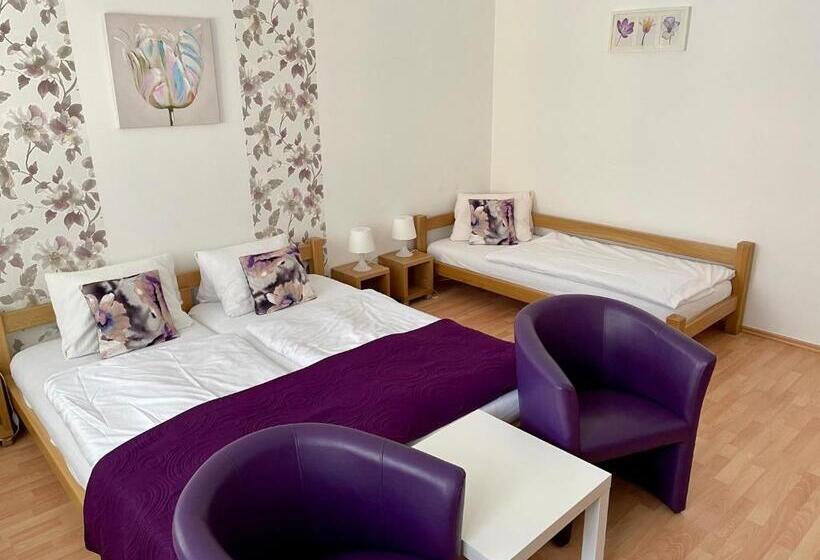 חדר סטנדרט לשלושה, Penzion U Vlčků