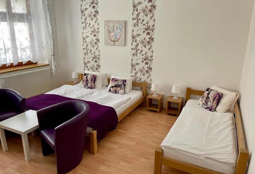 חדר סטנדרט לשלושה, Penzion U Vlčků