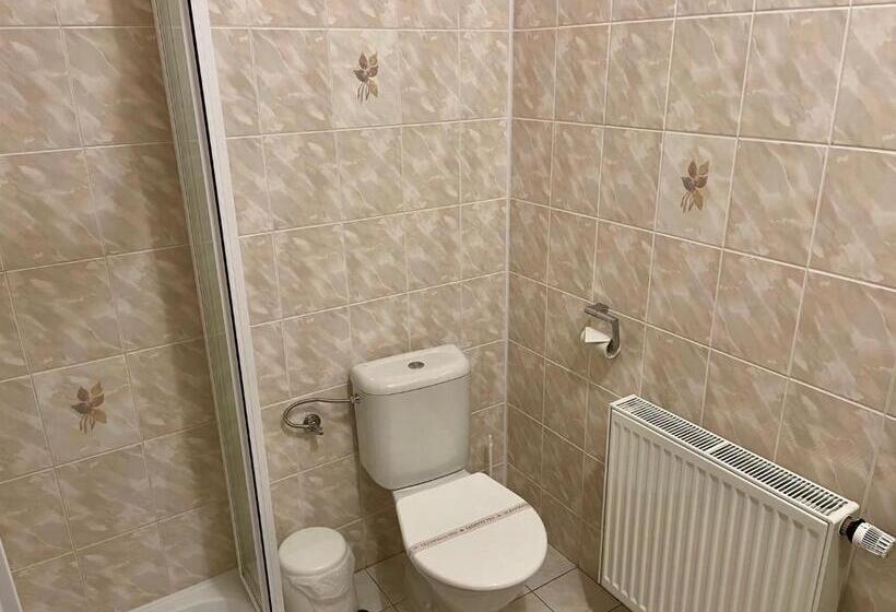 חדר סטנדרט לשלושה, Penzion U Vlčků