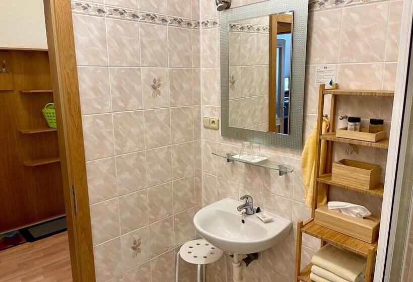 חדר סטנדרט לשלושה, Penzion U Vlčků