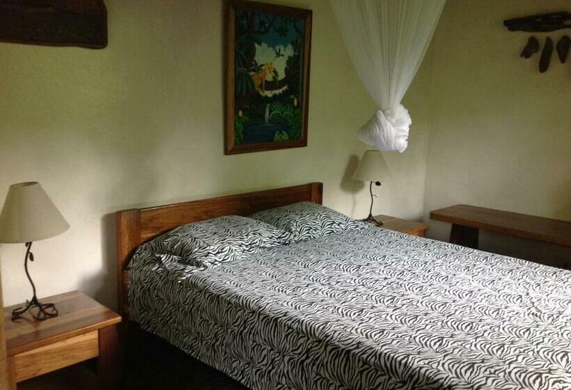 スタンダードルーム, Piscina Natural On The Sea