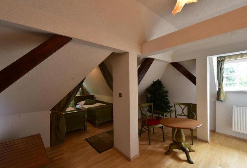 شقة سوبيريور غرفتين, Sant Georg Garni