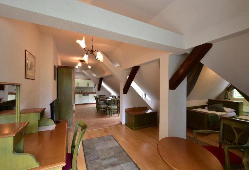 شقة سوبيريور غرفتين, Sant Georg Garni