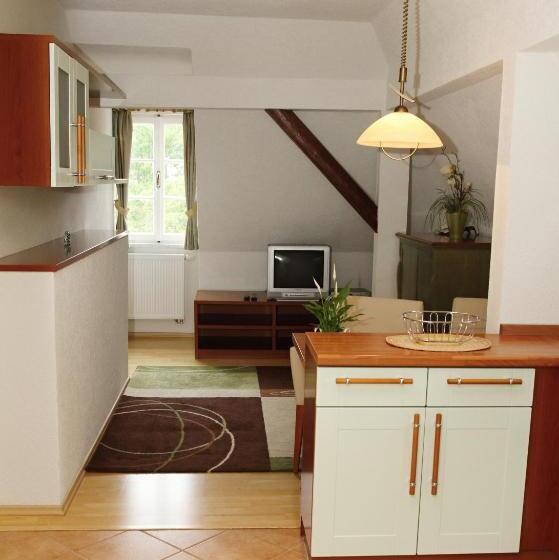 شقة ديلوكس غرفة نوم واحدة, Sant Georg Garni