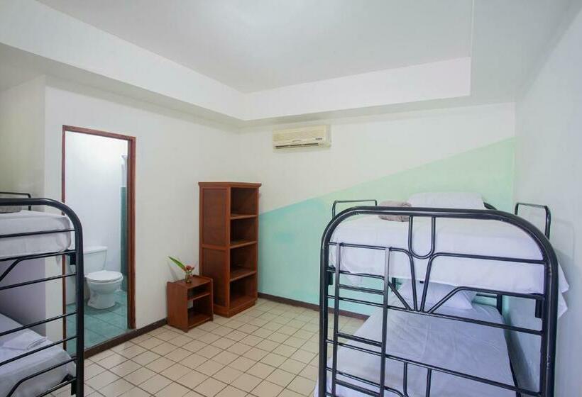 غرفة قياسية رباعية, Whale Tail