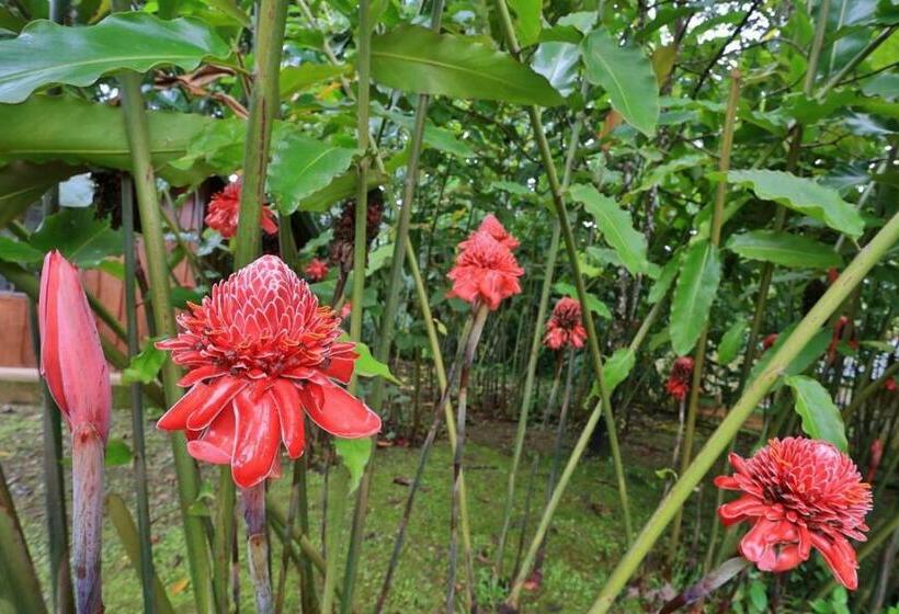 غرفة قياسية ثلاثية, Whale Tail