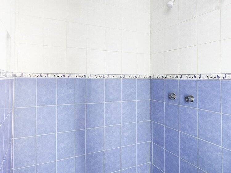 اتاق استاندارد سه نفره, Gandhi