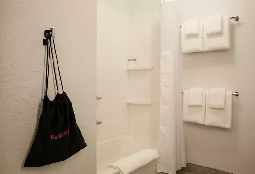スイート, Holiday Inn Express   Evansville, An Ihg