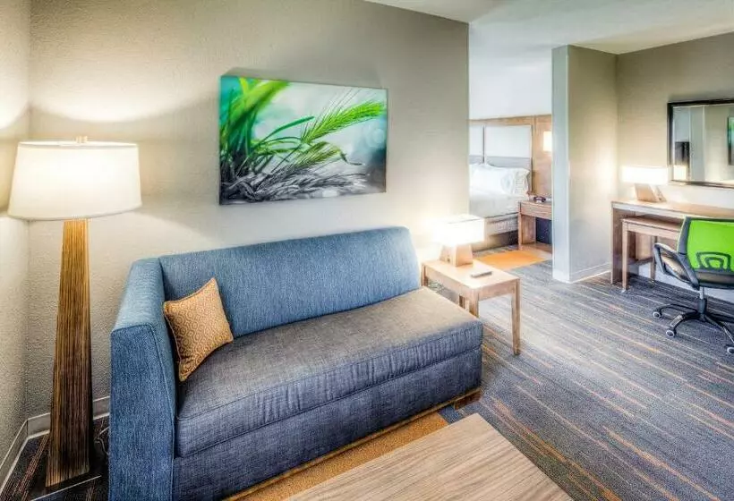 身障者適用スイートルーム, Holiday Inn Express & Suites Cleveland/westlake, An Ihg