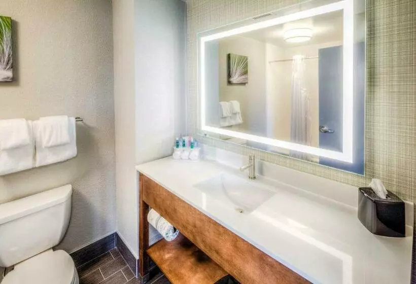 スイート, Holiday Inn Express & Suites Cleveland/westlake, An Ihg