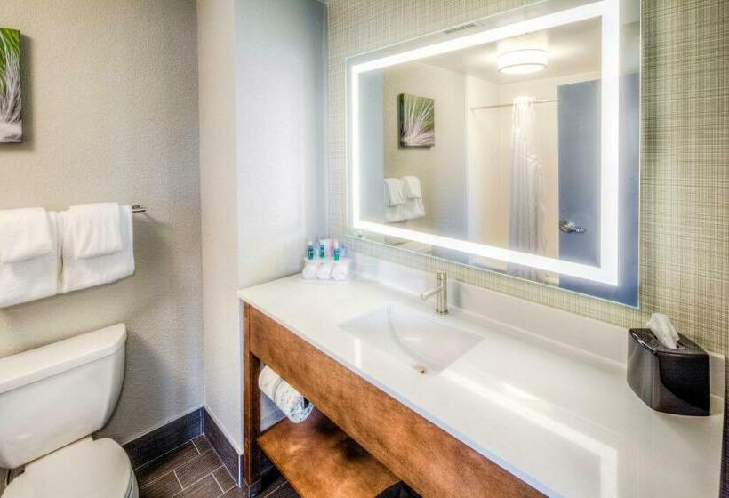 Номер Стандарт, Holiday Inn Express & Suites Cleveland/westlake, An Ihg