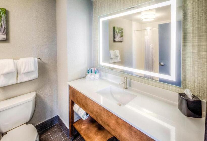 Номер Стандарт Кровать Кинг Адаптированный для Инвалидов, Holiday Inn Express & Suites Cleveland/westlake, An Ihg