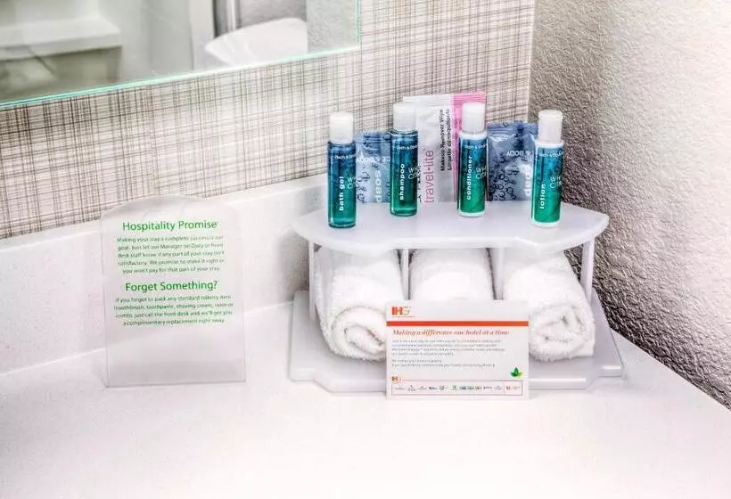 身障者適用スイートルーム, Holiday Inn Express & Suites Cleveland/westlake, An Ihg
