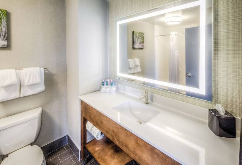 جناح لذوى الاحتياجات الخاصة, Holiday Inn Express & Suites Cleveland/westlake, An Ihg