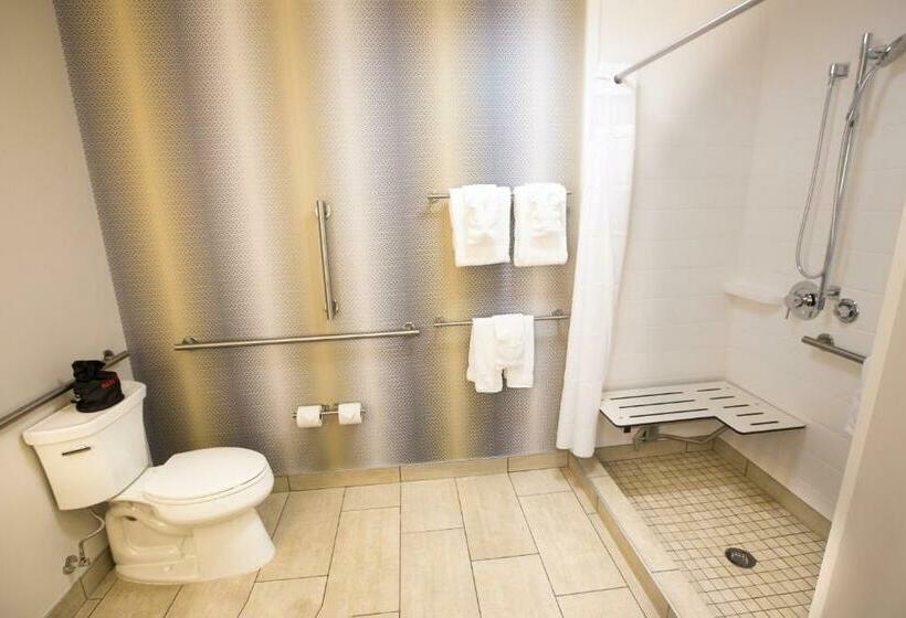 חדר סטנדרט, מיטת קינג, מותאם לאדם עם מוגבלויות, Holiday Inn Express & Suites Greenwood Mall, An Ihg