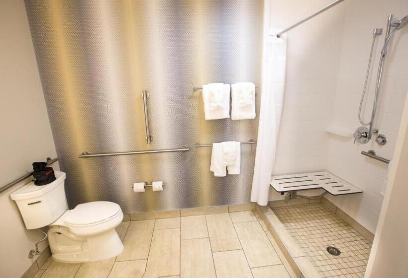 Люкс Адаптированный для Инвалидов, Holiday Inn Express & Suites Greenwood Mall, An Ihg