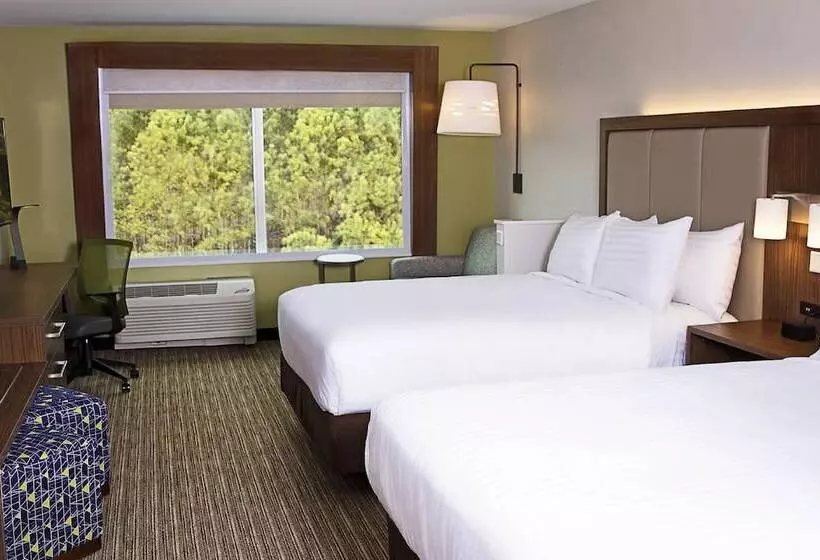 スイート, Holiday Inn Express & Suites Greenwood Mall, An Ihg