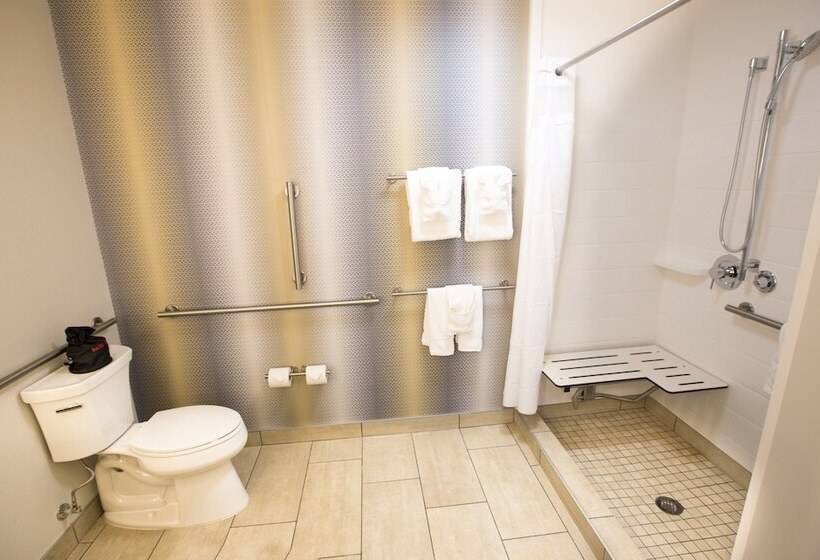 Люкс Адаптированный для Инвалидов, Holiday Inn Express & Suites Greenwood Mall, An Ihg