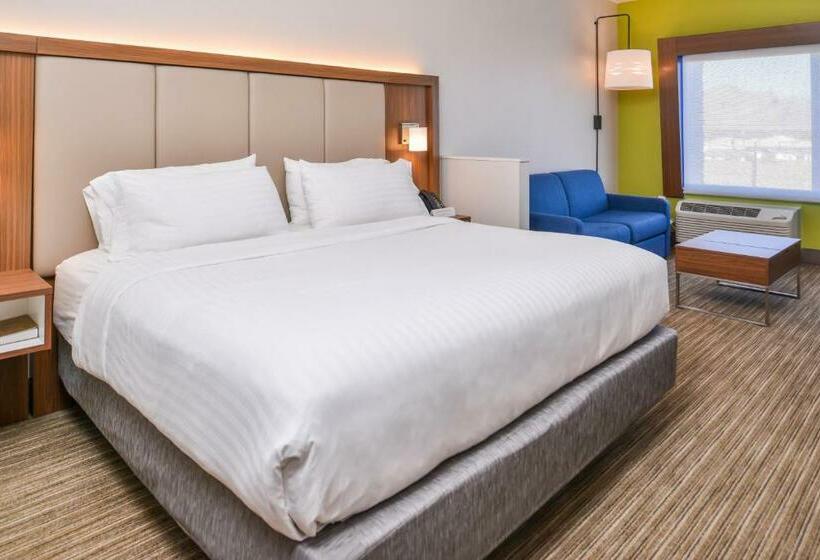 غرفة قياسية سرير كينج, Holiday Inn Express & Suites   Van Horn, An Ihg