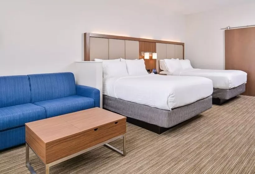 スイート, Holiday Inn Express & Suites   Van Horn, An Ihg