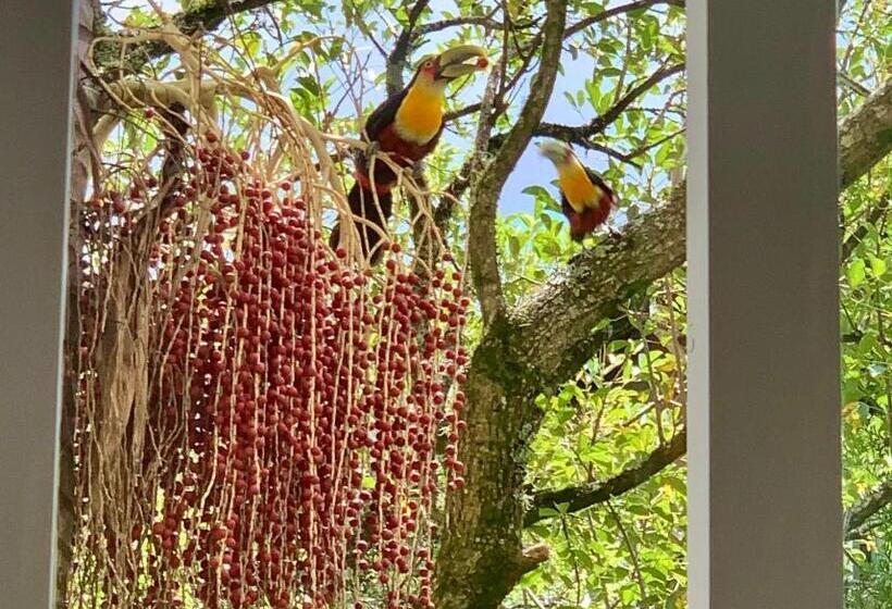 شقة غرفتين, Flat Wish Serrano