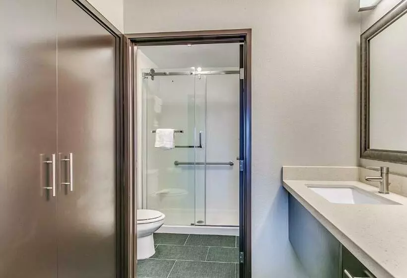 キングサイドベッドのスタンダードワンルーム, Staybridge Suites Lubbock South, An Ihg