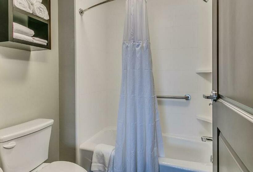 스탠다드 스튜디오 킹침대, Staybridge Suites Lubbock South, An Ihg