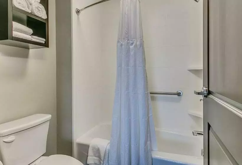 キングサイドベッドのスタンダードワンルーム, Staybridge Suites Lubbock South, An Ihg