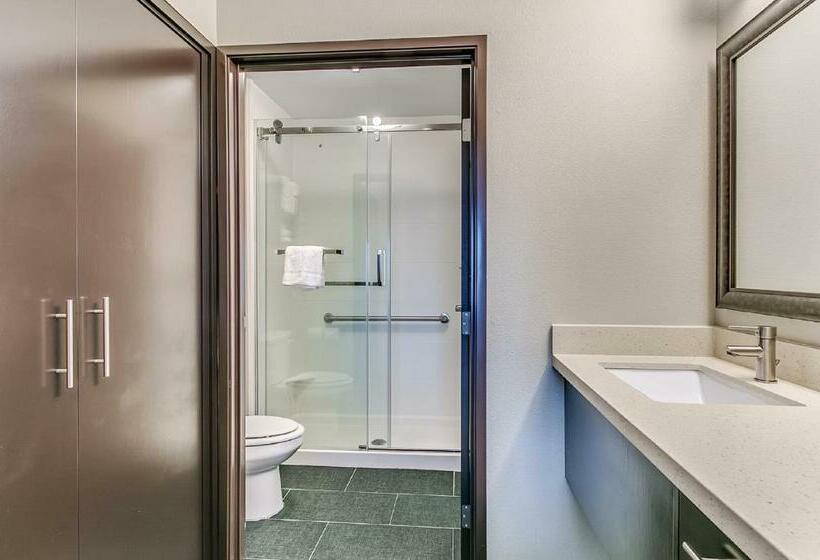 带大床的标准工作室, Staybridge Suites Lubbock South, An Ihg