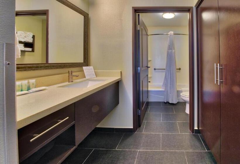 适合残疾人士使用的套间, Staybridge Suites Lubbock South, An Ihg
