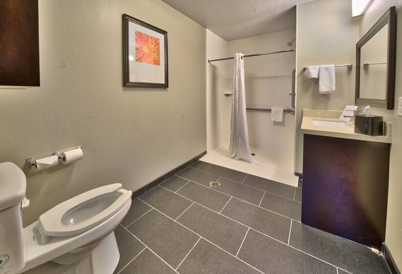 침실 2개 스위트, Staybridge Suites Lubbock South, An Ihg