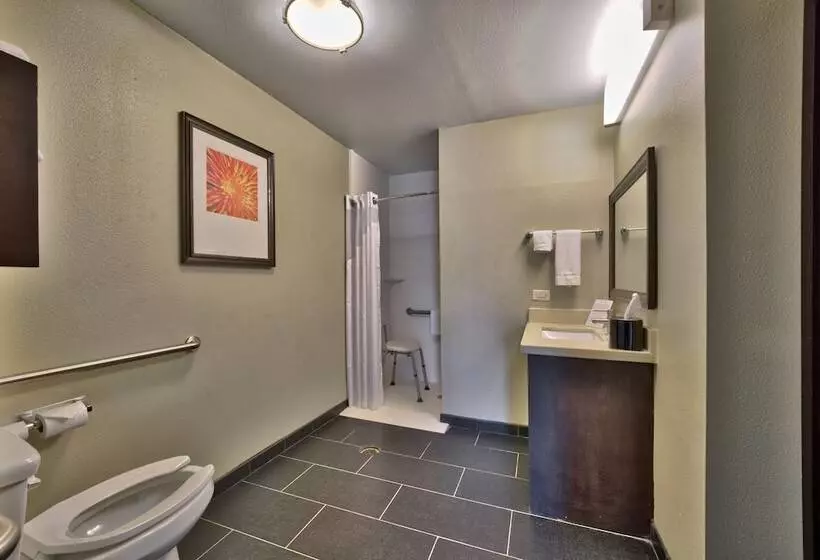 ２ベッドスイートルーム, Staybridge Suites Lubbock South, An Ihg
