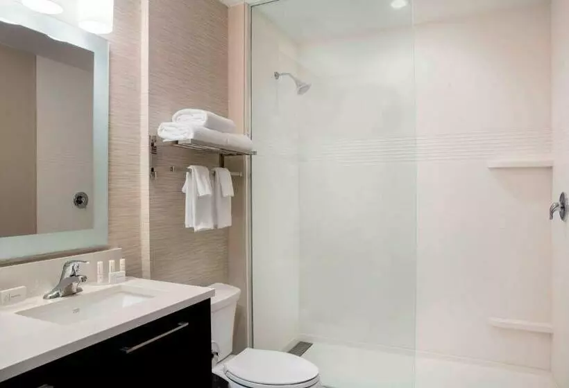 キングサイドベッドのスタンダードワンルーム, Towneplace Suites By Marriott Miami Homestead