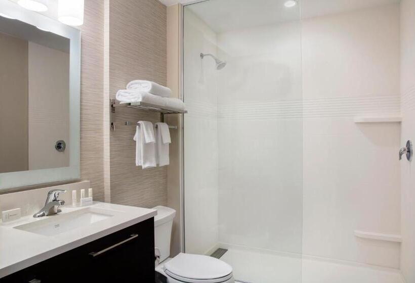 מיטת קינג בסוויטה, Towneplace Suites By Marriott Miami Homestead