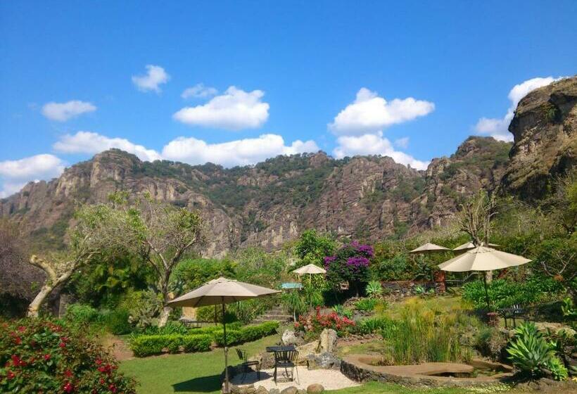 جناح سرير كينج, Valle Místico